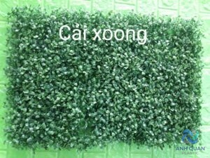 227ed559d214314a6805