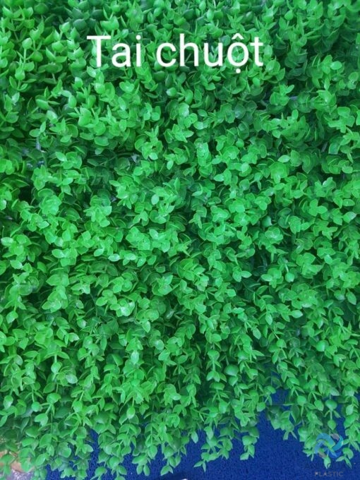 f1bb19c81e85fddba494