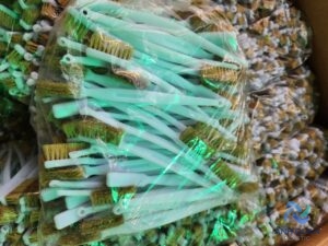 z4453090215786_ab2a526b94c9e861b0394fafdd4fce5e