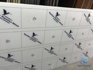 z5612169998774_fb34969a046b98254d58e7f918f29239