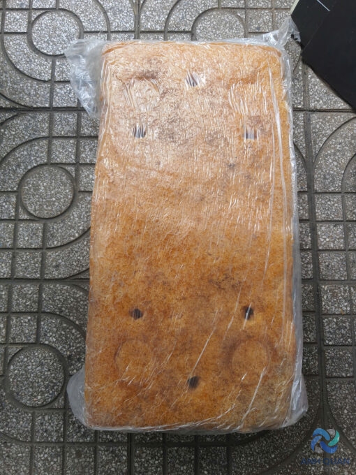 z6122735033281_11271532cdf7fb29283e162e441ca716