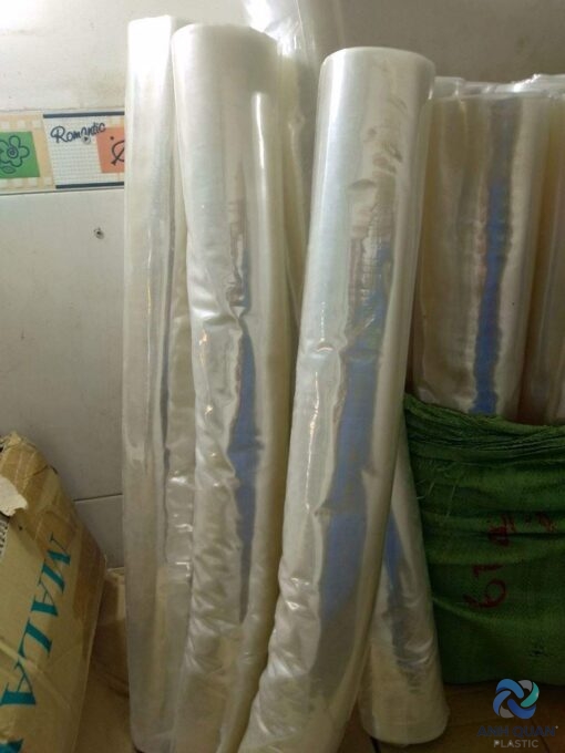 67c9163ab775532b0a64