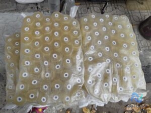 z2254130552659_c59a28de2a5bcadff6f25cc777ece2a4