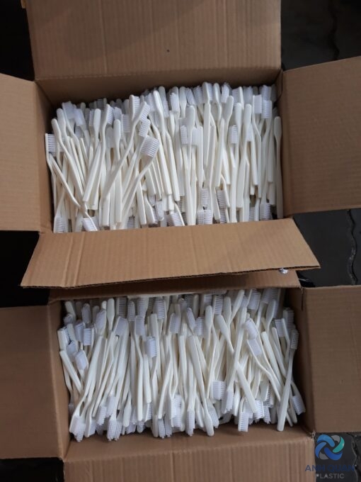 z2525316730403_c2544cdd22fae7e0e0f8794ddafe75fb