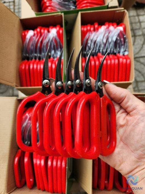 z6141419673312_df1103b08534f8e7dec0789b461b48e4