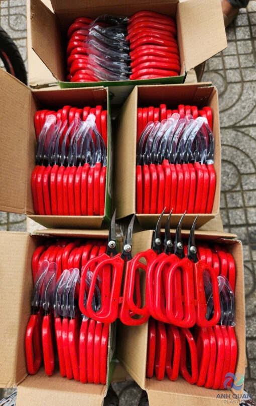 z6141419673657_6d544e38a621c173c604e58f323c9807