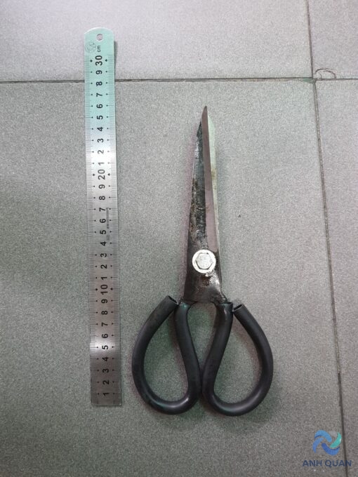 z3610002134971_a03b07b5bdf1479c24fe4e563a58a464-1