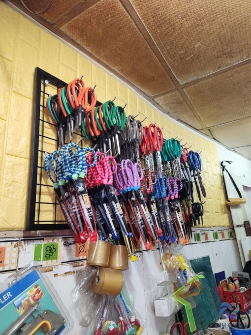 z5179182515565_d3f2cc8557f1406bc6975e45fad6b8a8-1