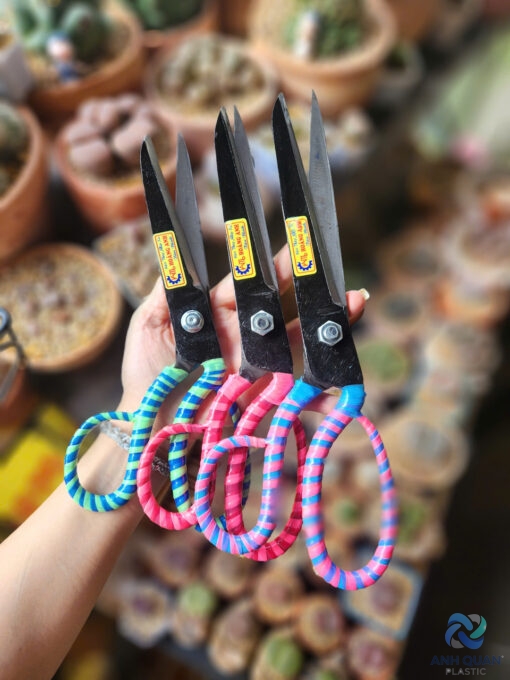 z5951746750785_6252155946320a2f73b99af859489716