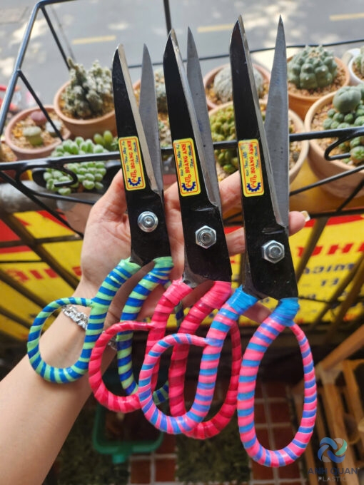 z5951746768540_e00b20839024e6f19edb61d3685168cb